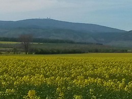 Attractive Bungalow With Roofed Terrace