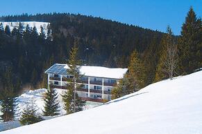 Apartment in Haidmuhle With Balcony or Terrace