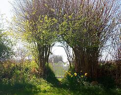 Holiday Home in Damp With Terrace