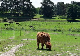 Holiday Home in Lohmen for 4 Person
