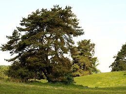 Holiday Home in Lohmen for 4 Person