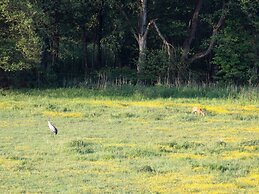 Holiday Home in Lohmen for 4 Person