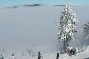 Appartement im Fuchsbau in Bad Sachsa