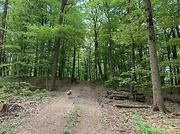 Appartement im Fuchsbau in Bad Sachsa