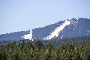Ferienwohnung, Braunlage