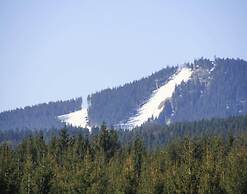 Ferienwohnung, Braunlage