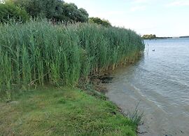 Ferienwohnungen, Malchow