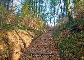 Ferienwohnungen, Malchow