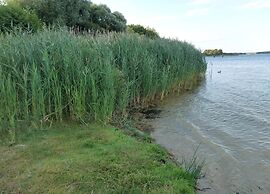Ferienwohnungen, Malchow