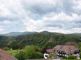 Apartment in Kleines Wiesental, Sallneck