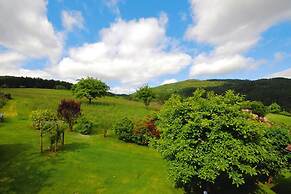 Apartment in Kleines Wiesental, Sallneck