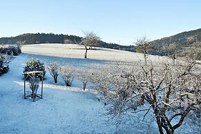 Apartment in Kleines Wiesental, Sallneck