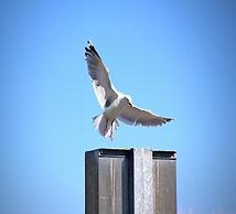 Bungalow Klonsnack, Dornumersiel