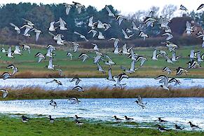 Appartements, Wyk auf Foehr