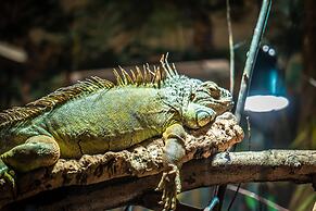 Appartements im Freizeitpark Weissenhauser Strand