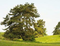 Doppelhaushaelfte Seestern in Lohmen