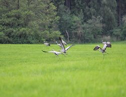 Doppelhaushaelfte Seestern in Lohmen