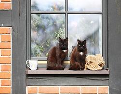 Doppelhaushaelfte Seestern in Lohmen