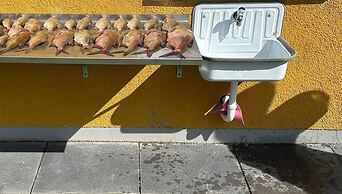 Ferienwohnung 2 am Vilzsee in Mirow