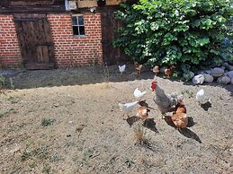 Ferienwohnung 2 am Vilzsee in Mirow