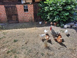 Ferienwohnung 2 am Vilzsee in Mirow