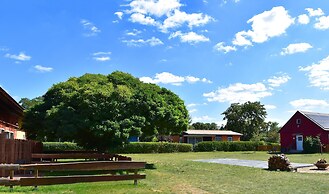 Ferienwohnung 2 am Vilzsee in Mirow