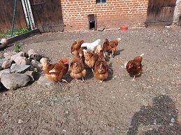 Ferienwohnung 2 am Vilzsee in Mirow