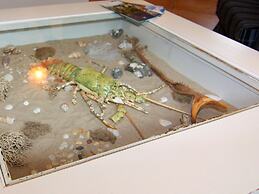 Semi-detached House, Zingst