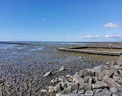 Apartment in Friedrichskoog-spitze With Parking