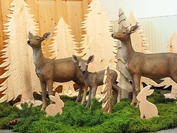 Spacious Apartment Near Centre and ski Area