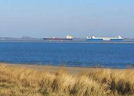 Beachside Getaway With Garden & Barbecue