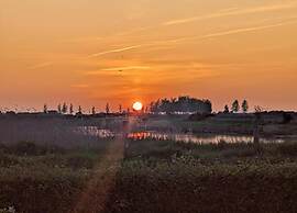 Beachside Getaway With Garden & Barbecue