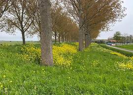 Holiday Home in Simonshaven by Lake Beach