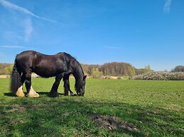 Beautiful Flat in a Thatched Farmhouse