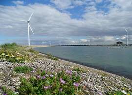 Scenic Cottage w/ Garden
