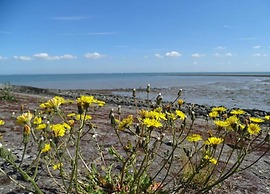 Modern Eco Home Near Beach