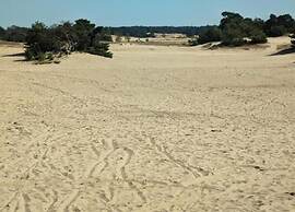 Beautiful Holiday Home With Garden