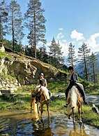 Sonata in the Organic & Riding Stable of Veitenhof