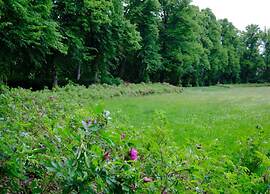 Flat in Zwickau Near August Horch Museum