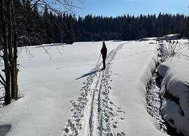 Flat in Zwickau Near August Horch Museum