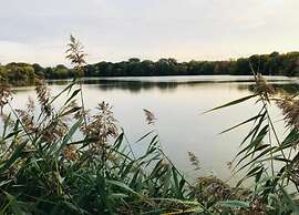 Flat in Zwickau Near August Horch Museum