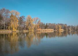 Flat in Zwickau Near August Horch Museum