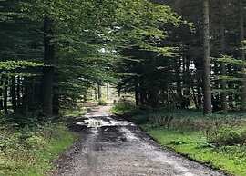 Wohnung im Teutoburger Wald Externsteine