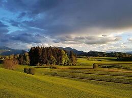 Mountain View Comfortable Holiday Residence