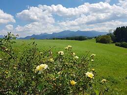 Mountain View Comfortable Holiday Residence