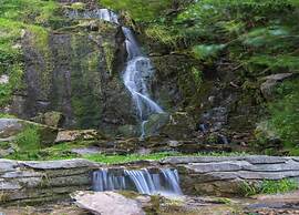 Apartment in Elbingerode Near Lake