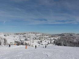 Apartment in Elbingerode Near Lake