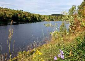 Property in Elbingerode