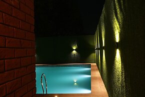 Stamps KANA By Eight Continents