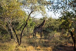 Mmakuba Private Game Lodge